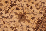handmade Transitional Kafkaz Chobi Ziegler Beige Brown Hand Knotted RECTANGLE 100% WOOL area rug 6 x 9