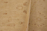 handmade Traditional Kafkaz Chobi Ziegler Beige Beige Hand Knotted RECTANGLE 100% WOOL area rug 9 x 12