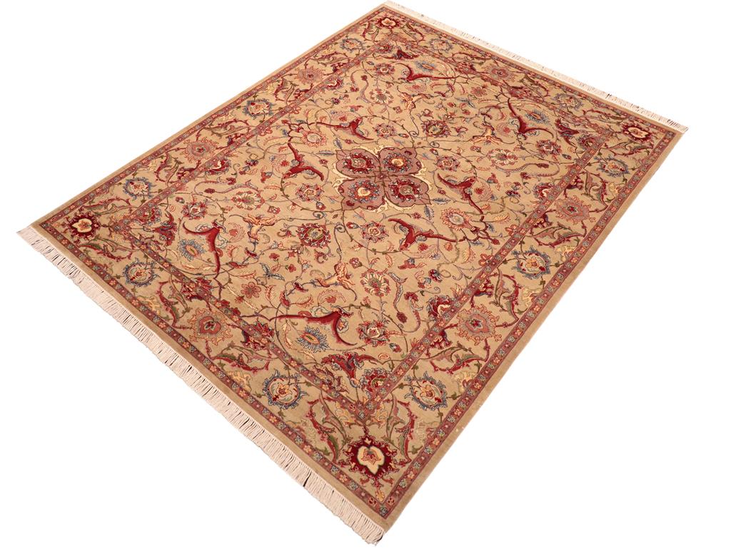 handmade Traditional Hamadan Taupe Red Hand Knotted RECTANGLE 100% WOOL area rug 6x9