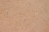 handmade Transitional Kafkaz Chobi Ziegler Tan Lt. Brown Hand Knotted RECTANGLE 100% WOOL area rug 9 x 12