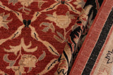 handmade Transitional Kafkaz Chobi Ziegler Red Black Hand Knotted RECTANGLE 100% WOOL area rug 9 x 11
