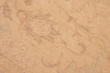 handmade Traditional Kafkaz Chobi Ziegler Lt. Tan Lt. Green Hand Knotted RECTANGLE 100% WOOL area rug 8 x 10