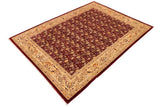 handmade Transitional Kafkaz Chobi Ziegler Red Beige Hand Knotted RECTANGLE 100% WOOL area rug 9 x 12